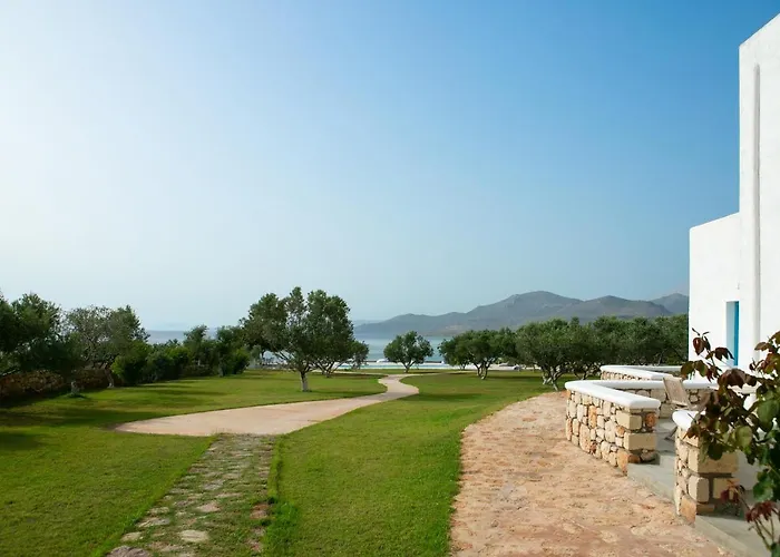 Eight Dimensions Capari