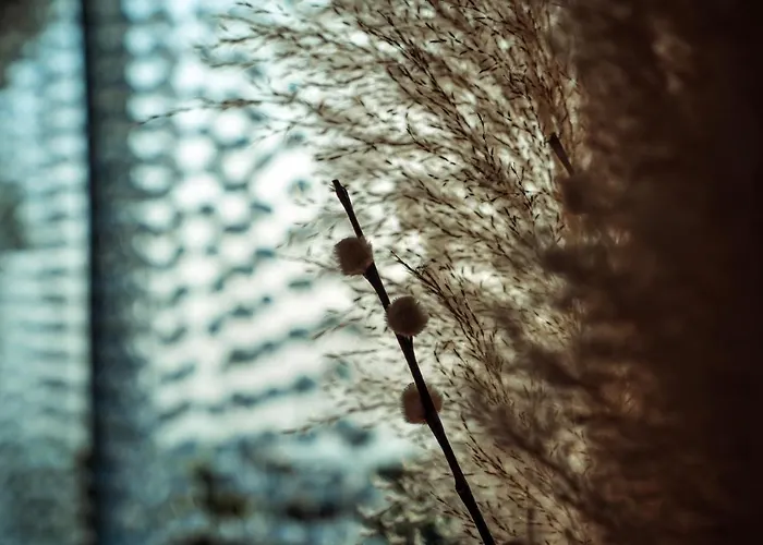 Eight Dimensions Capari Elafonissos