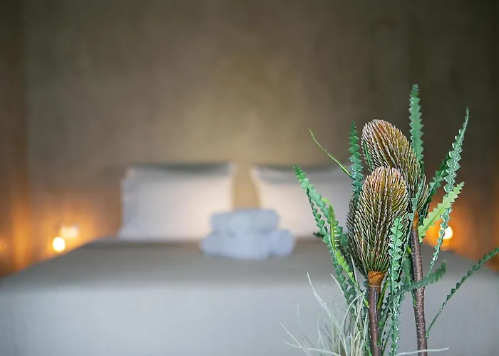 Eight Dimensions Capari